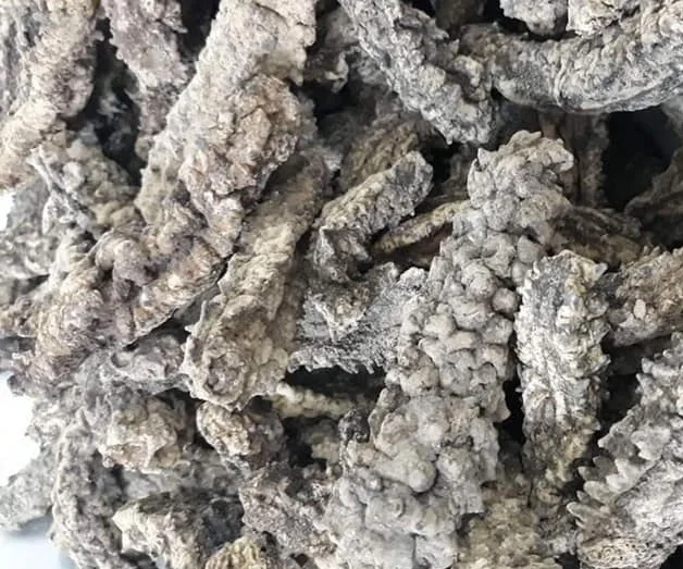 Сушеный морской огурец