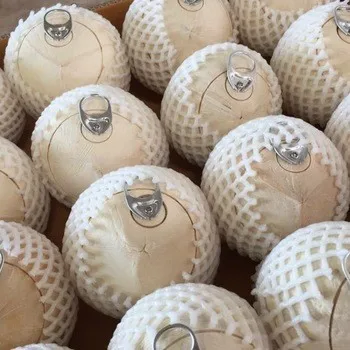 
Wholesale Easy Open Coconut/Fresh Young Coconut with High Quality/Diamond Coconut from Vietnamese Supplier 