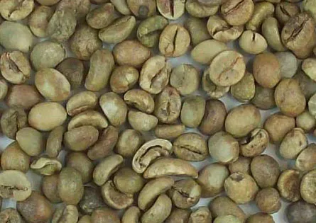 Robusta Coffee S16 faq/cleaned/wet polished green bean SKYPE HANFIMEX08