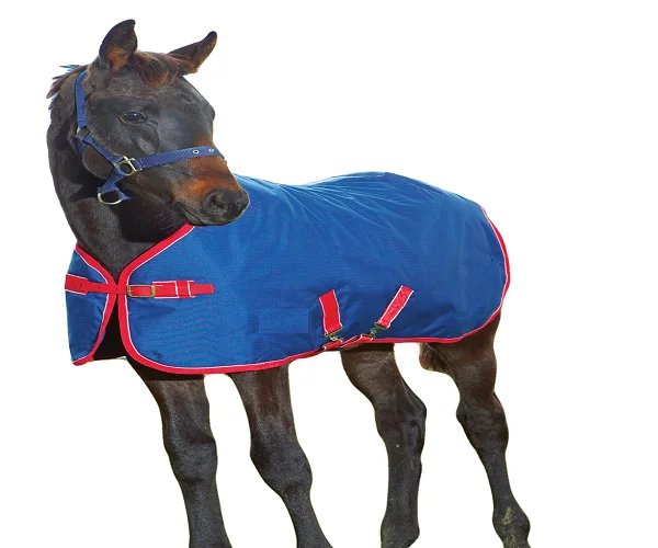 Horse Equipment Equestrian 1200D High Quality Equestrian Turnout Horse Rug