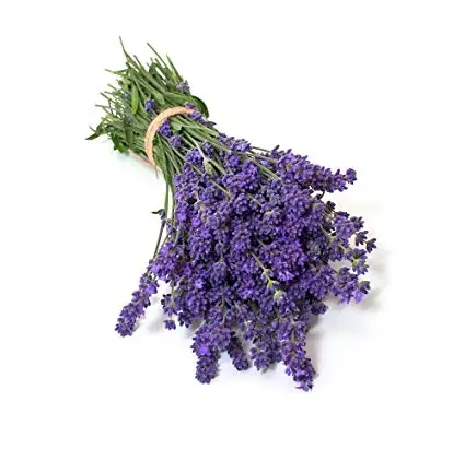 Wholesale Price Top Quality Undiluted 100% Pure Lavender Essential oil