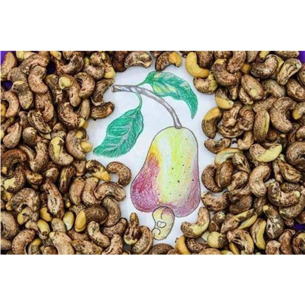 2019 cheapest dried raw cashew nut  cashew nut price indonesia  full automatic cashew nut roasting machine