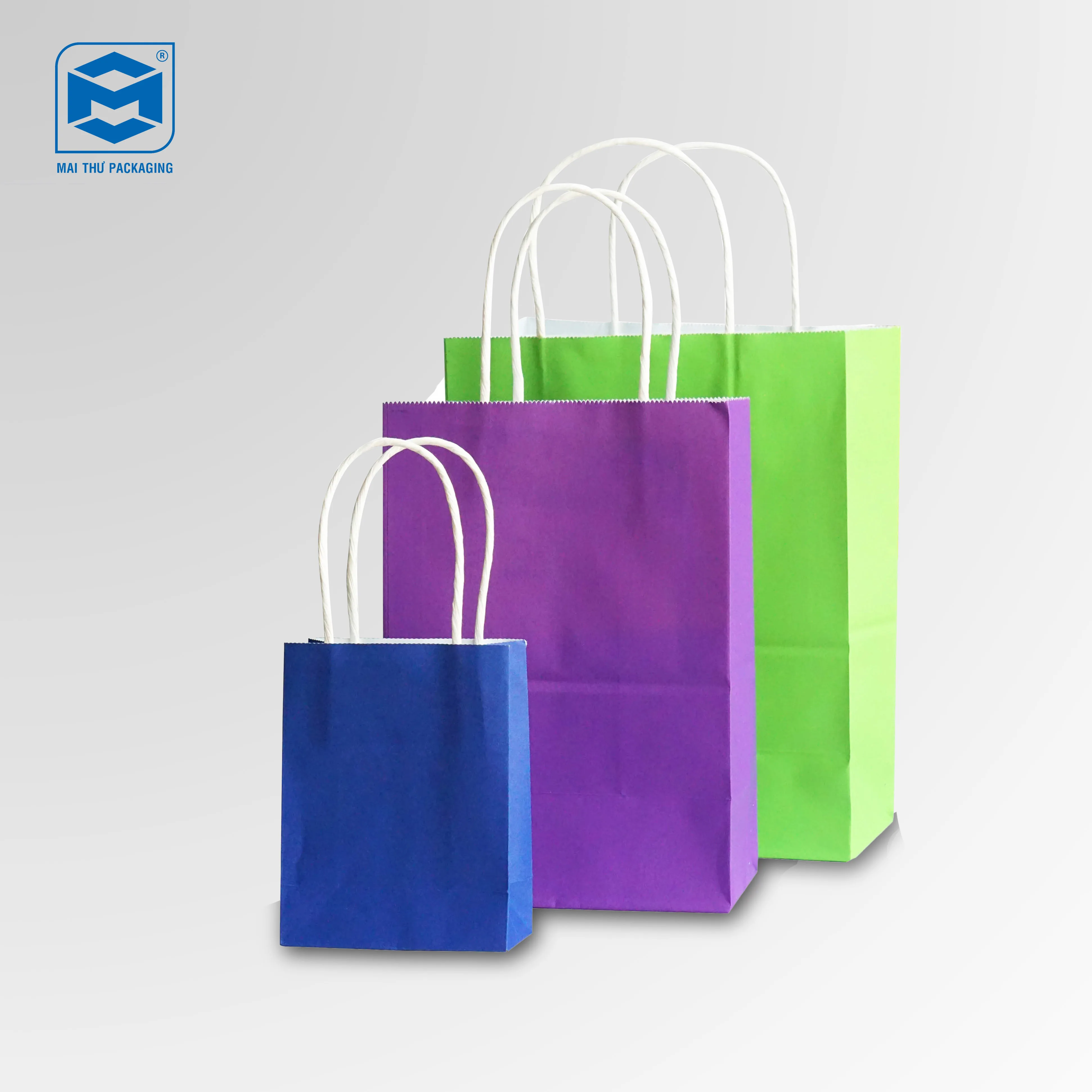 Vietnam Twist Handle Carrier Paper Bag Customize Color