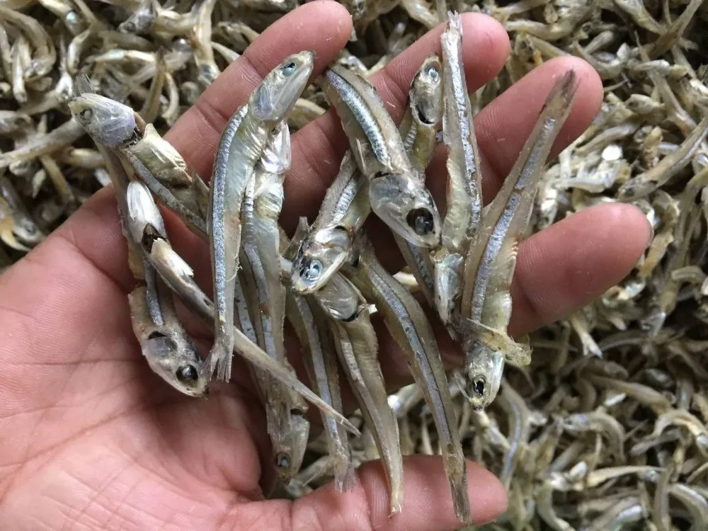 VERY DRY FISH SILVER LINE DRIED ANCHOVY - SPRATS GOLDEN COLOUR