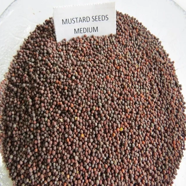 Black Mustard Seeds