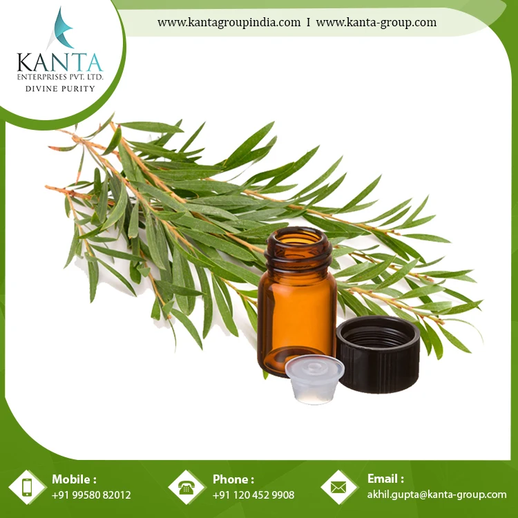 Pure Anti-Fungal Tea Tree Essential Oil helpful germ Killing Herbal Medicine at Cheap Wholesale Rate