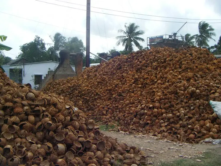 COCONUT SHELL / CRUSHED COCONUT SHELL / COCONUT SHELL POWDER (WS: 0084987731263)