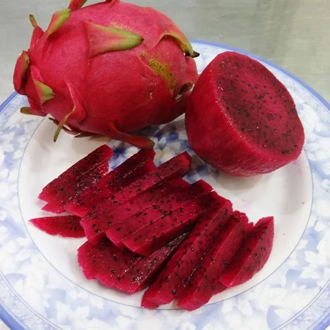 Вьетнам Дракон Фрукты Лучшая цена на экспорт