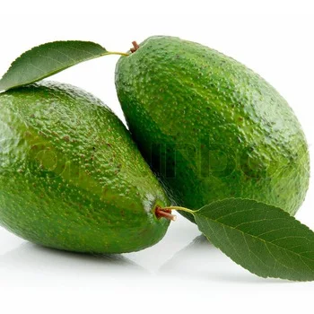 Premium Quality Hass Avocado