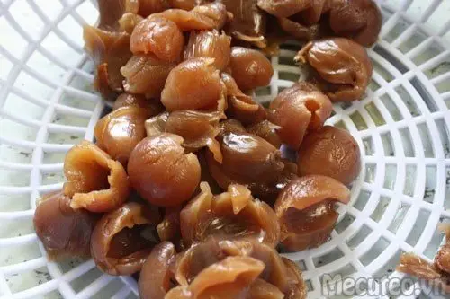 HIGH QUALITY FREEZE DRIED LONGAN FROM VIETNAM