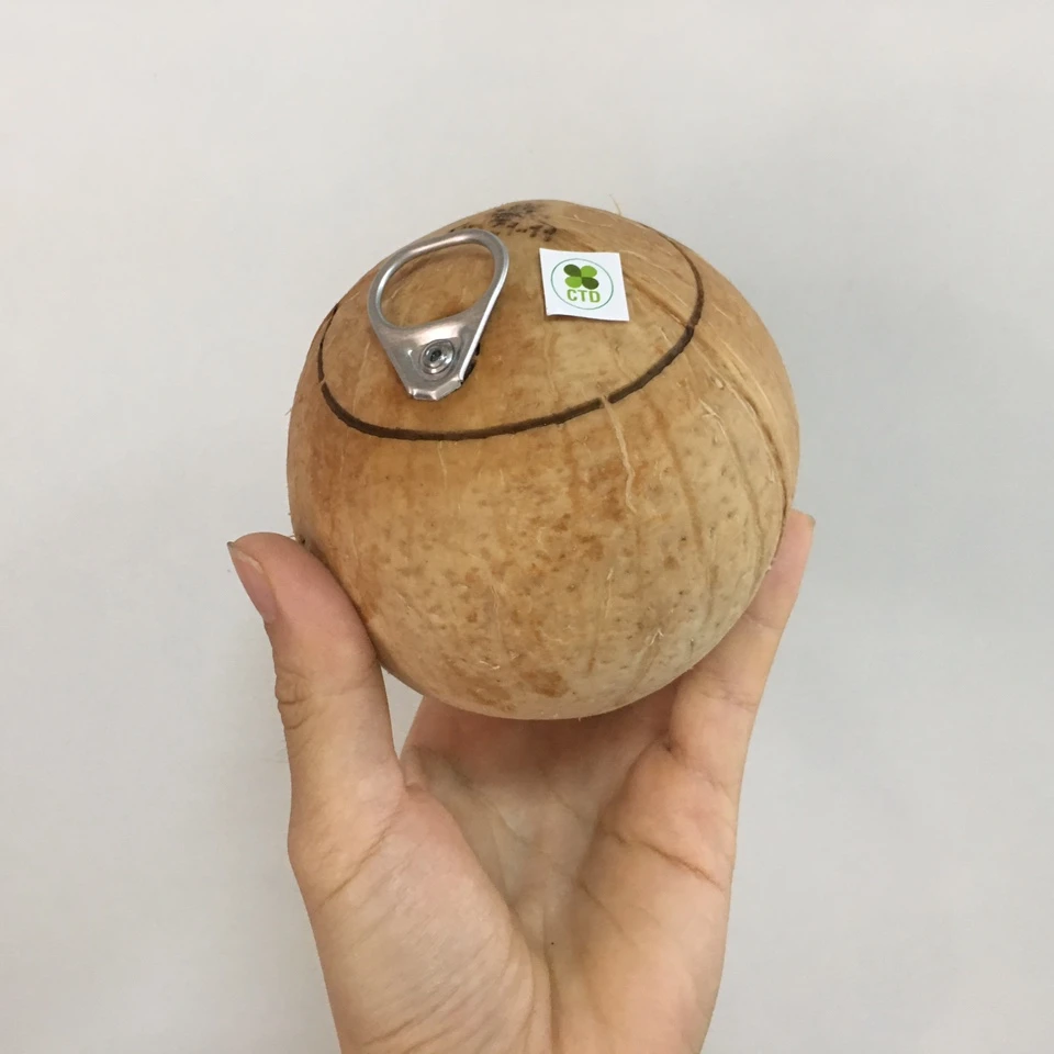 
YOUNG COCONUT / EASY OPEN / UNCAP COCONUT / WHATSAPP: +84937902846 