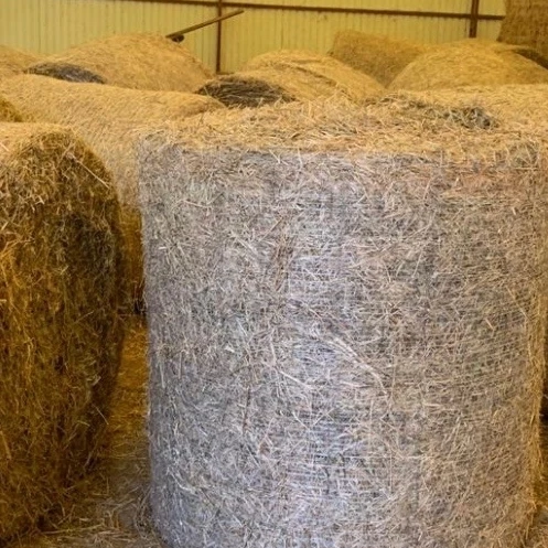 A Grade high quality Alfalfa Hay