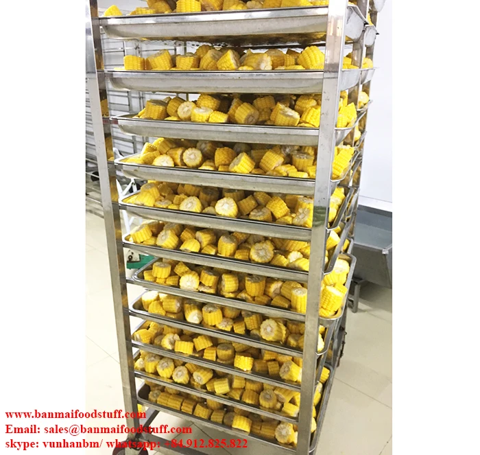 Vietnam high quality frozen sweet corn cobs