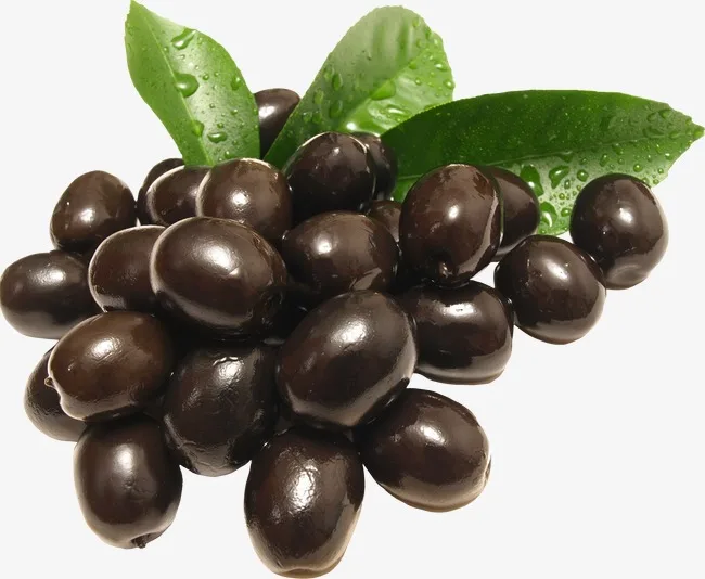
High Quality Turkish Production Fresh Low Salt Black Olives cheap 
