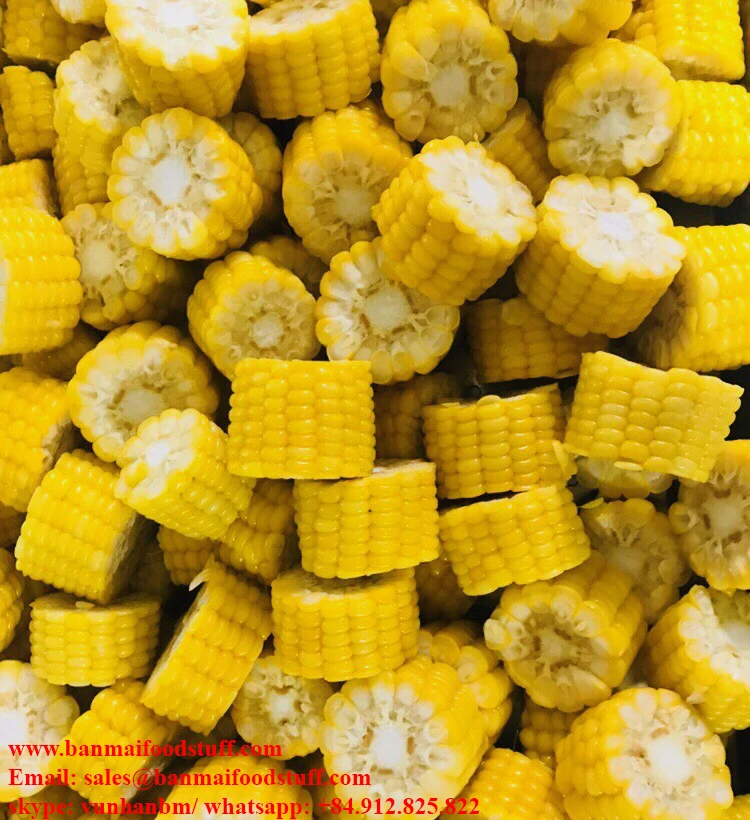 Vietnam high quality frozen sweet corn cobs
