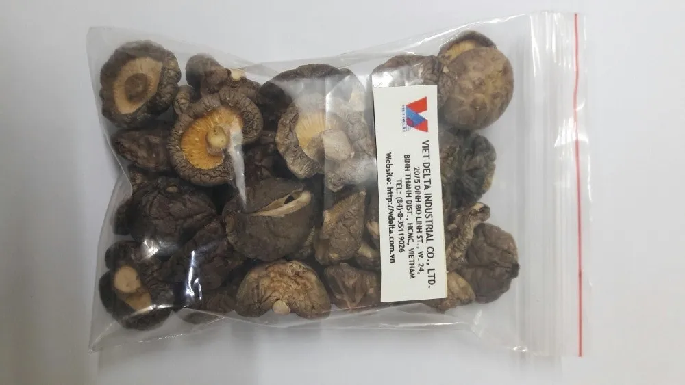 
VIETNAM HIGH QUALITY SHIITAKE MUSHROOM/MAGIC MUSHROOMS 
