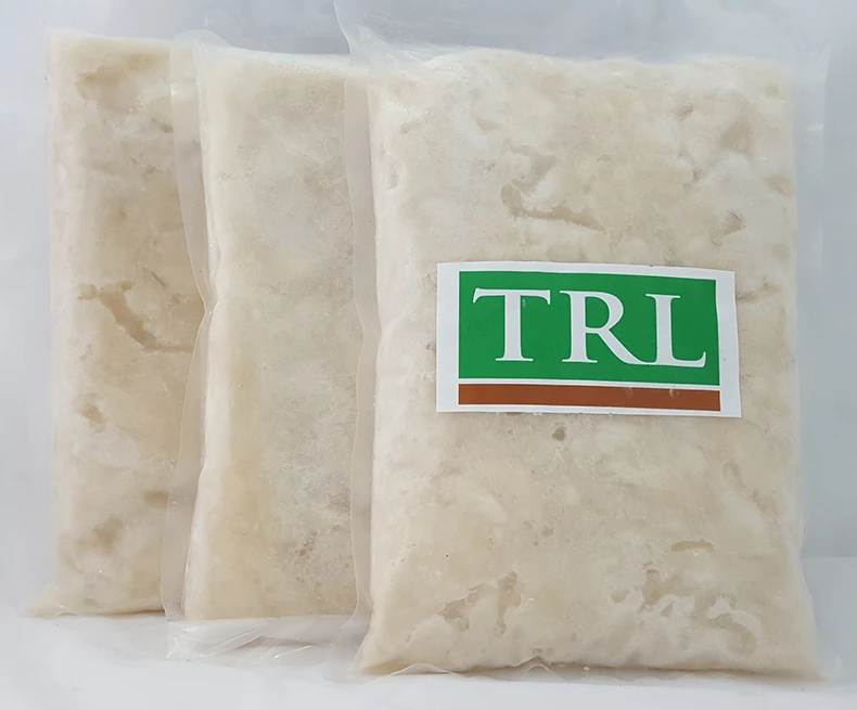 Frozen Soursop Paste