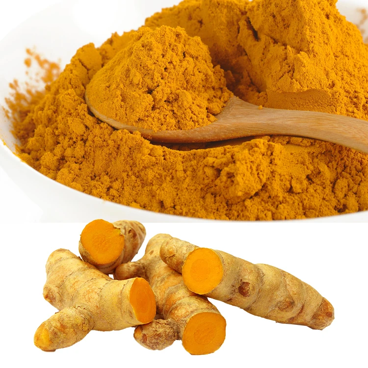 Hot selling turmeric root extract powder / Turmeric Curcumin manufacturers India / Turmeric root powder wholesale