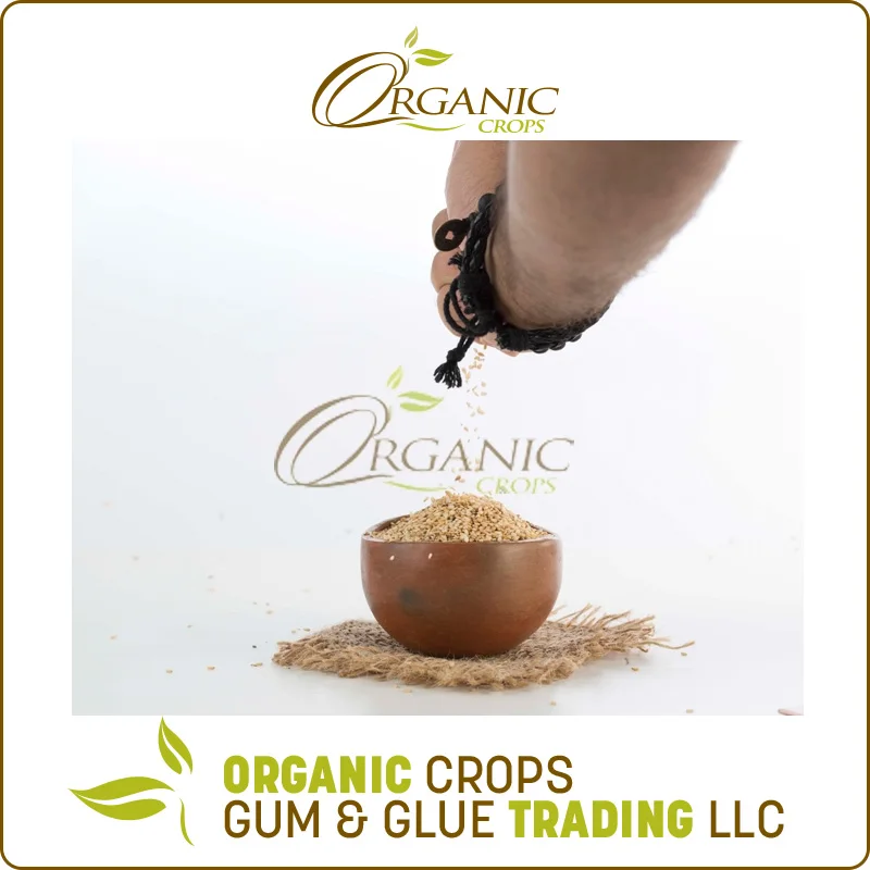 Fresh Quality Cheap Price Natural White Sesame Seed from Sudan