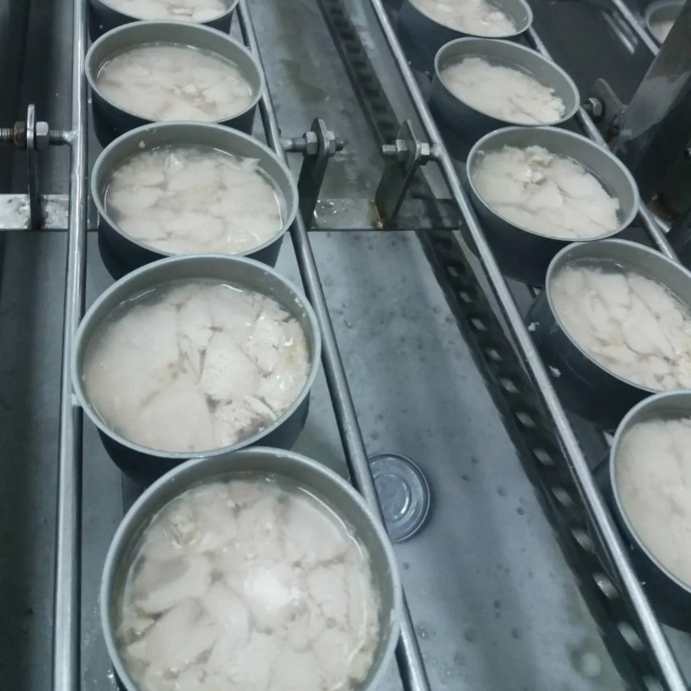 Solid 200g canned tuna