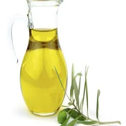 100%  pure natural and top grade Precious Quality With Best Price Betel leaf essential oil