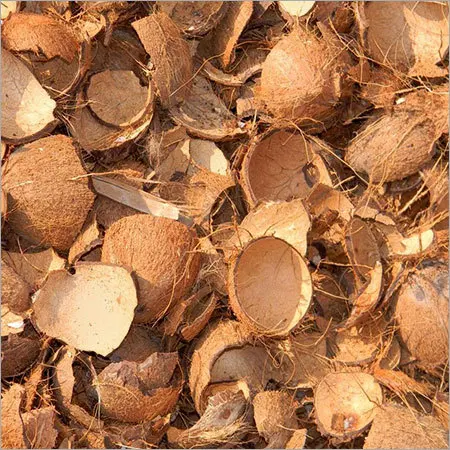 COCONUT SHELL / CRUSHED COCONUT SHELL / COCONUT SHELL POWDER (WS: 0084987731263)