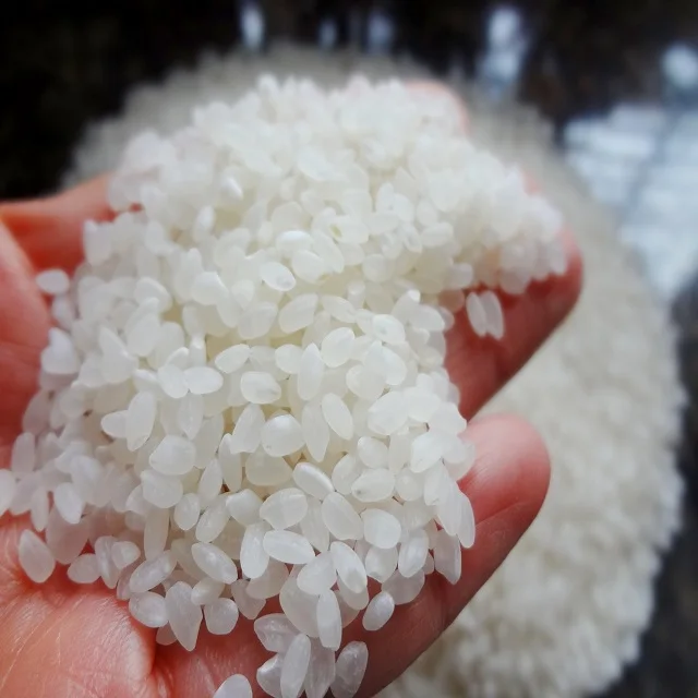 Koshihikari Japonica Round Rice 5kg