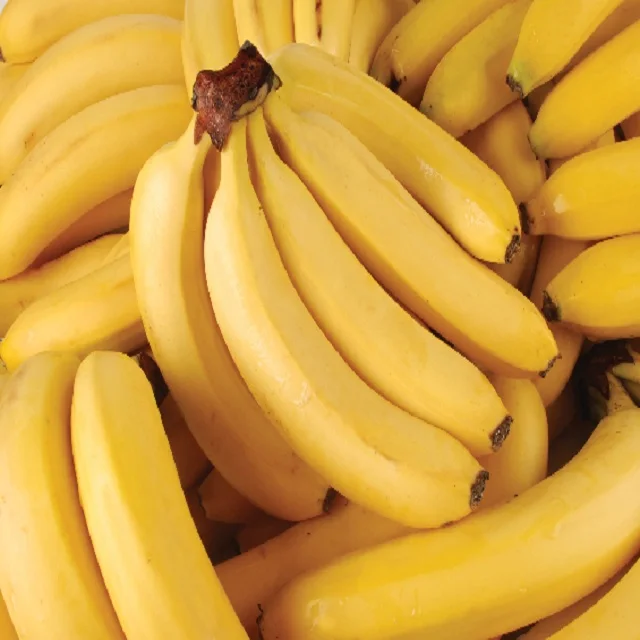 Fresh green cavendish banana for the cheapest