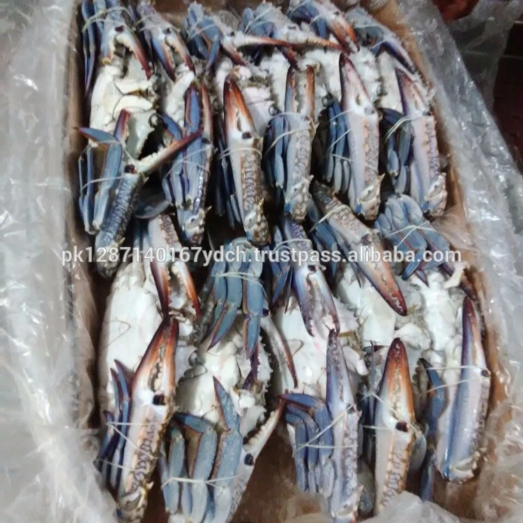 Fresh / Frozen Export Quality Blue Swimming Crab
