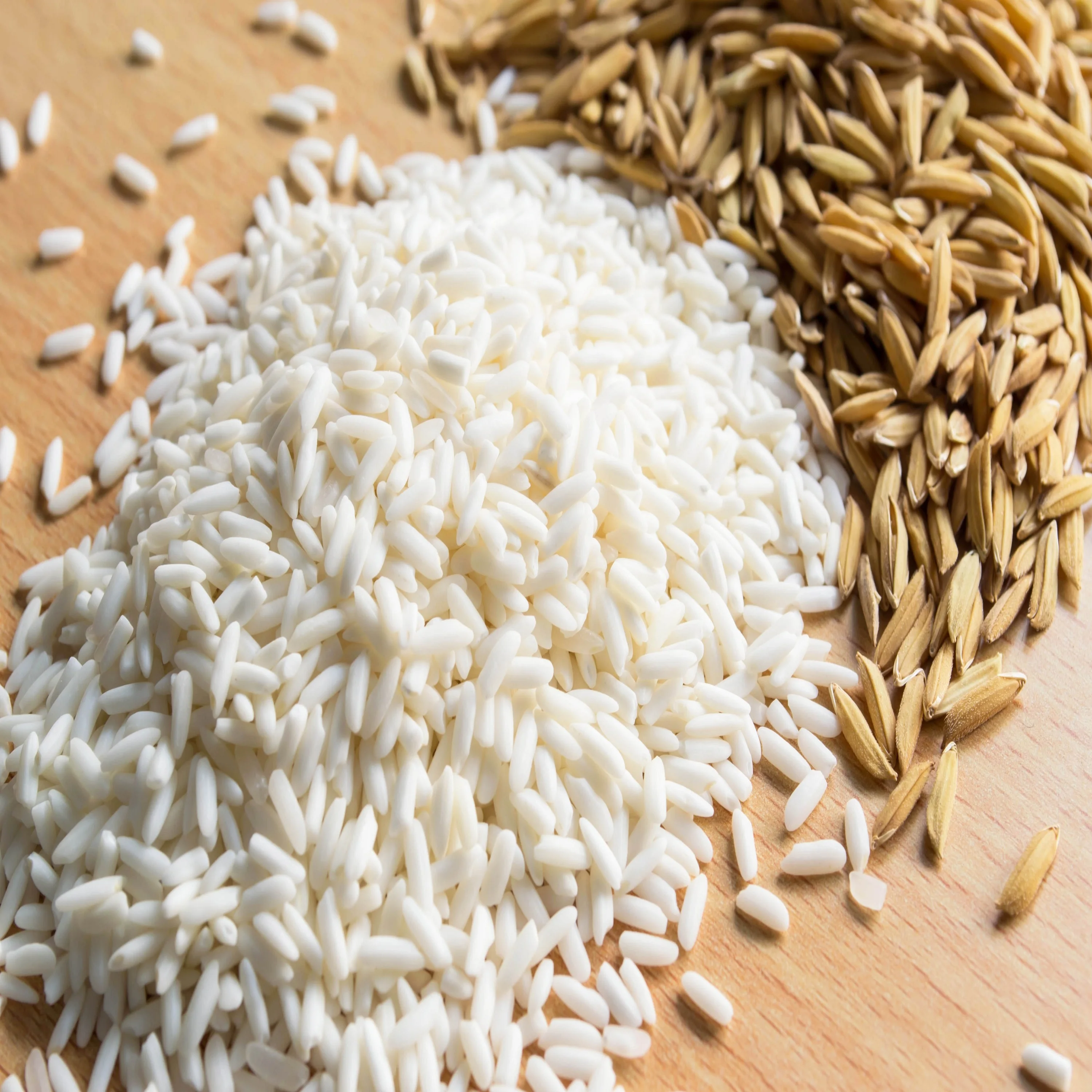  Vietnamese Japonica Rice 5% Broken - The Best Sushi to All Buyers Calrose Short-grain WHITE COMMON