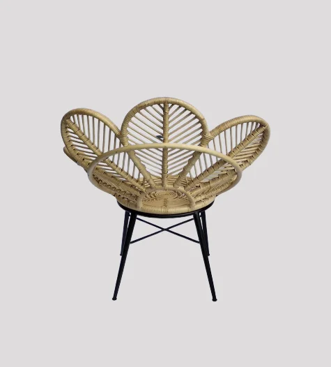 
Peacock Design Rattan Wicker Chair Home Interior Living Room for Wholesale 