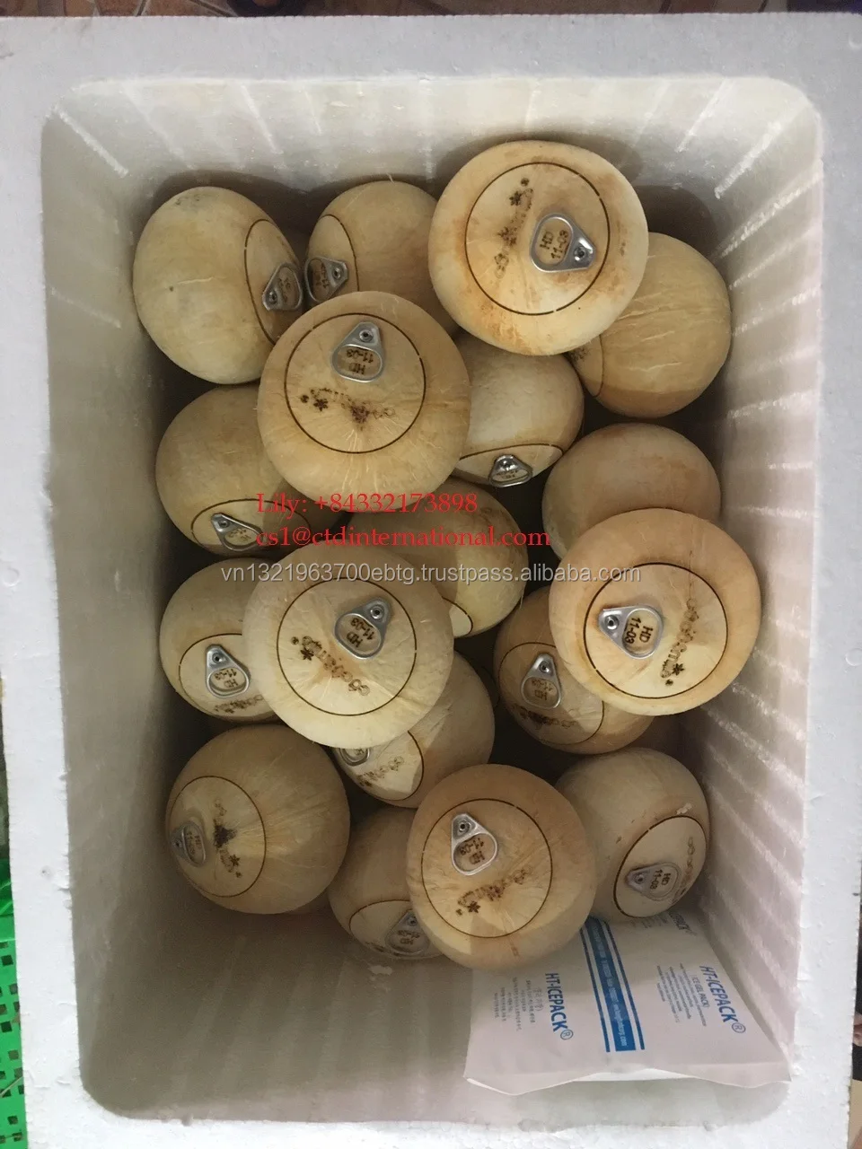 
Cheap price for Easy Open Coconut/ Fresh Young Coconut/High Quality for Coconut from Vietnam season 2019 