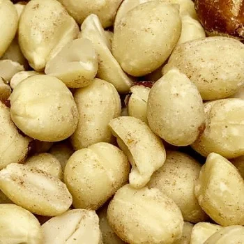 Raw Peanuts in Shell for