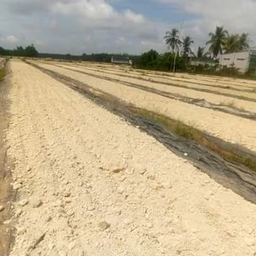 Высшее качество! Остатки тапиоки по самой низкой цене 2022 из Вьетнама