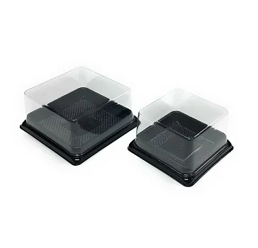 High Grade Square Plastic Mini Food Cake Tray With Clear Lids