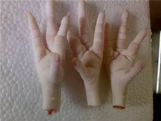 Frozen Chicken Feet/Chicken Paws