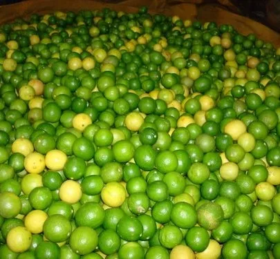 Fresh Lime/Fresh Lemon/Fresh Fruits!