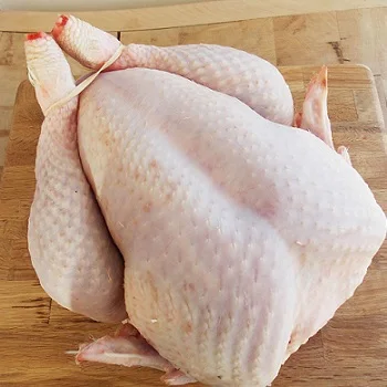 BRAZIL WHOLE CHICKEN, FROZEN CHICKEN PAWS FROZEN PROCESSED CHICKEN