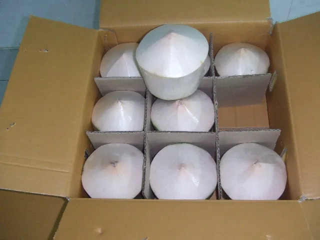 
Fresh Coconut/Easy Open Coconut with Ring Pull/Diamond Cut Coconut 