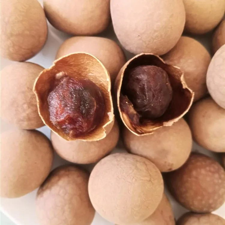 HIGH QUALITY FREEZE DRIED LONGAN FROM VIETNAM