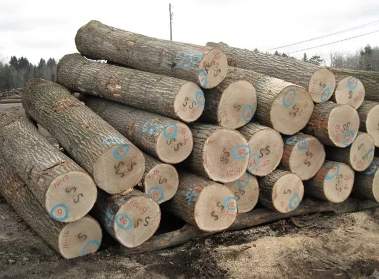 
Hard Wood Sapelli / Bubinga / Tali / Iroko / Doussie / for sale 