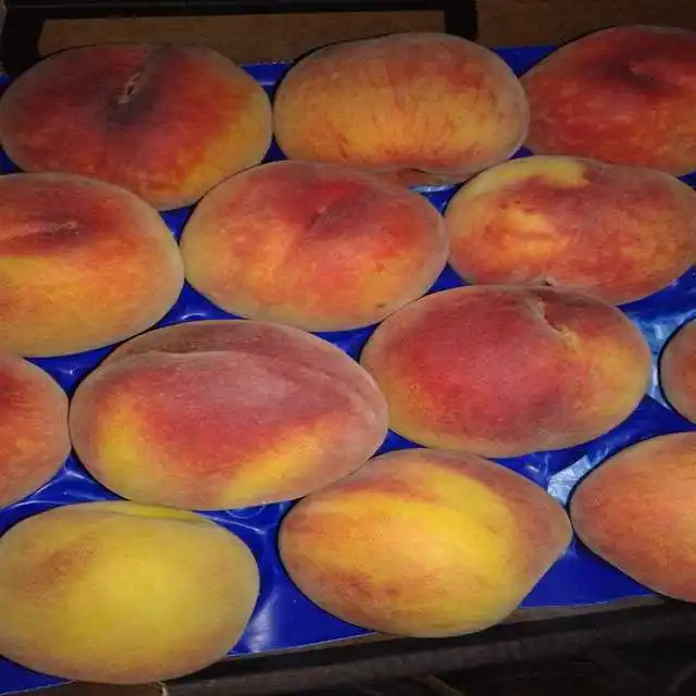 
Export fresh peach with high quality 