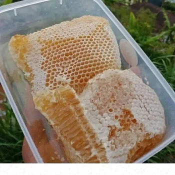 Pure Natural Honey/ Raw Honey forsale at a low rate