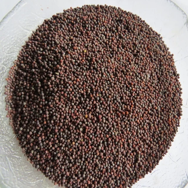 Black Mustard Seeds