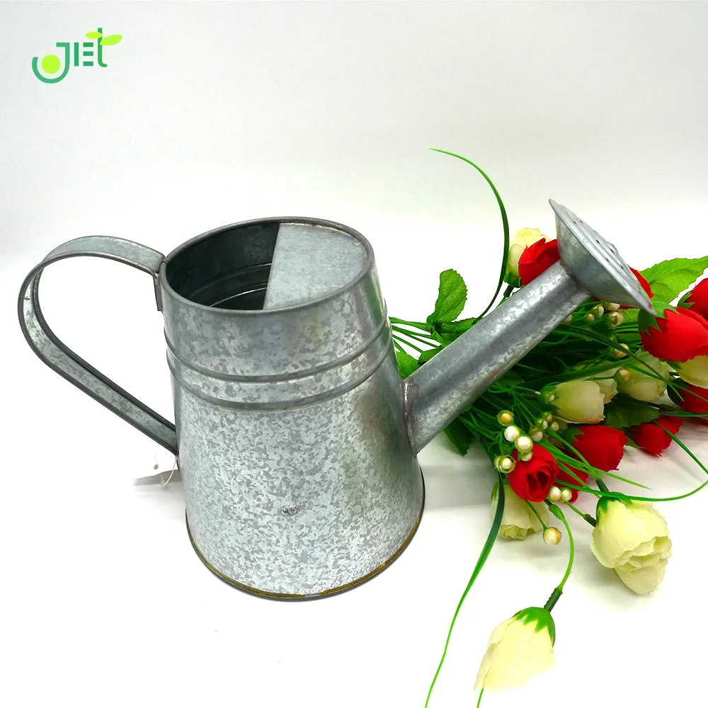
With Top and Side Handle Galvanized Watering Can 