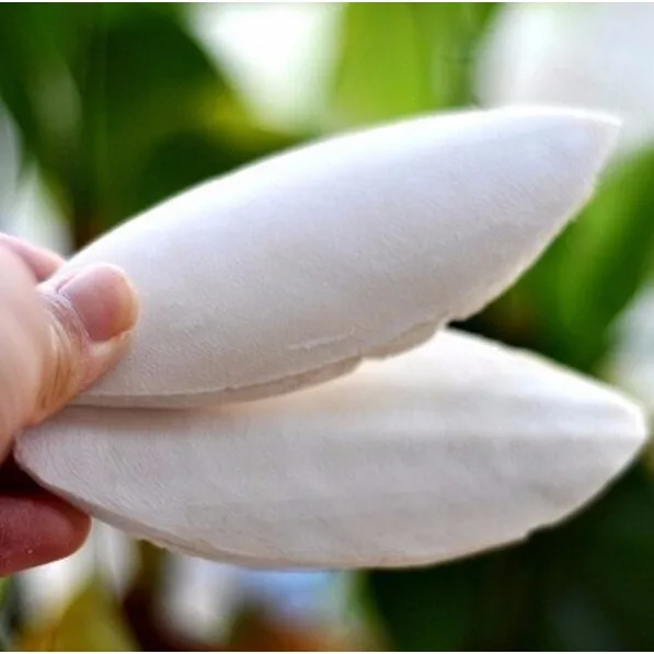 
VIETNAM CUTTLE FISH BONE / CUTTLEBONE / SQUID BONE EU MARKET (WS: 0084987731263) 