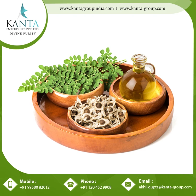 Supplier of 100% Natural and Organic Moringa Oil / Moringa Essential Oil Used as Ayurvedic Medicine at Best  Rate