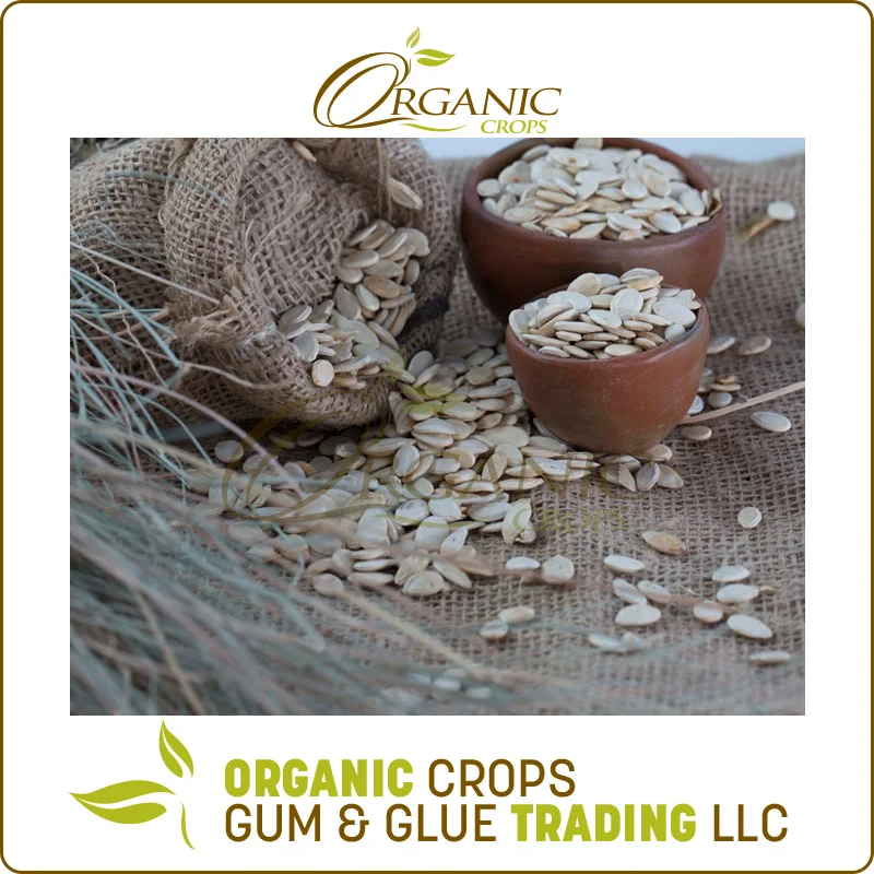 
Factory Direct Supply Sudan Watermelon Seeds at Market Price 