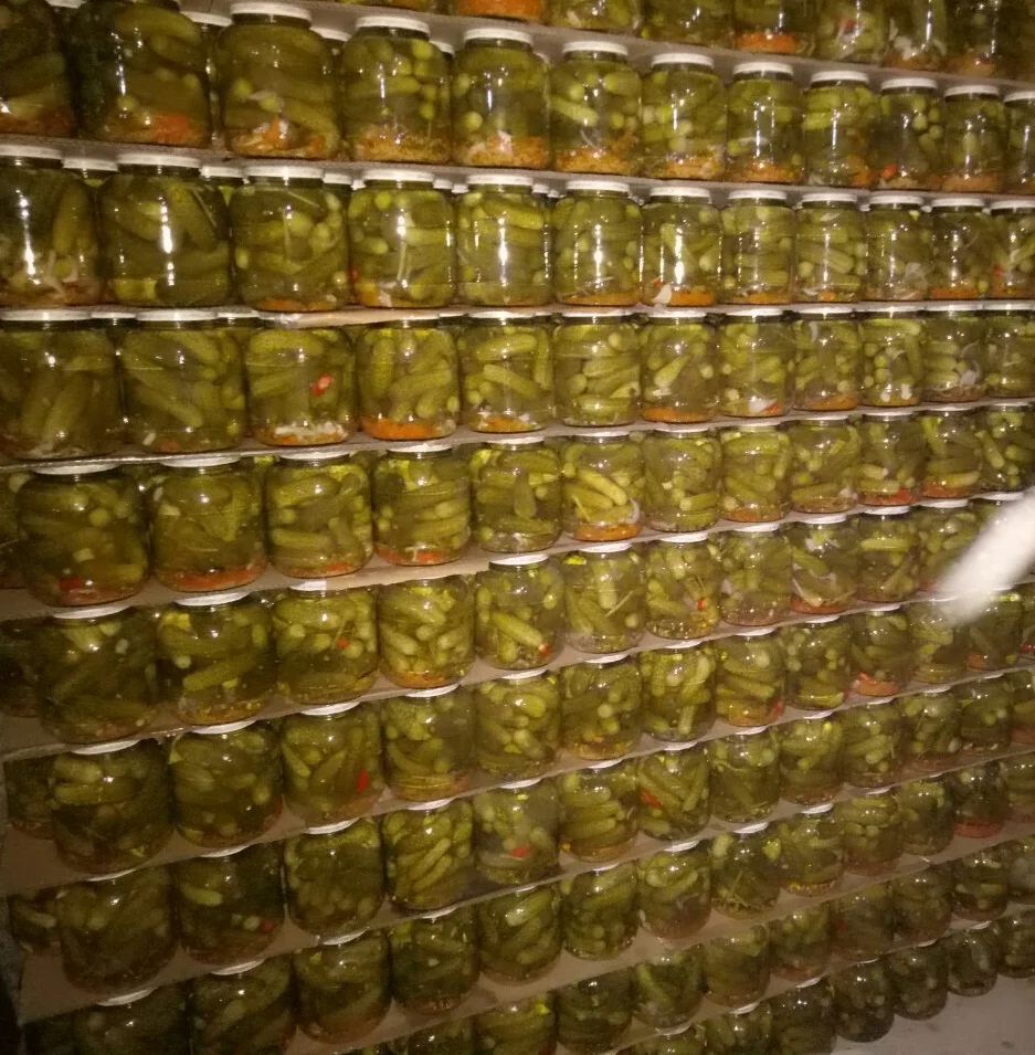 Pickle Cucumber /Baby Cucumbers Whatsapp +84-845-639-639