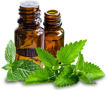 100% Fresh and Fragmented Spearmint Essential Oil